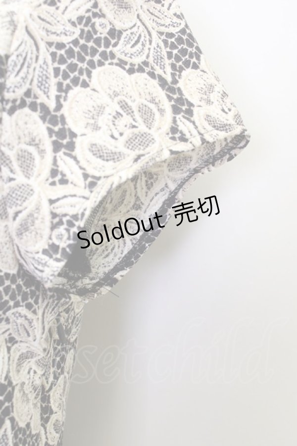 画像4: 【SALE】LOLITAその他  / レース総柄ワンピース I-23-05-27-4017-1-OP-LO-L-HD-ZT081 (4)