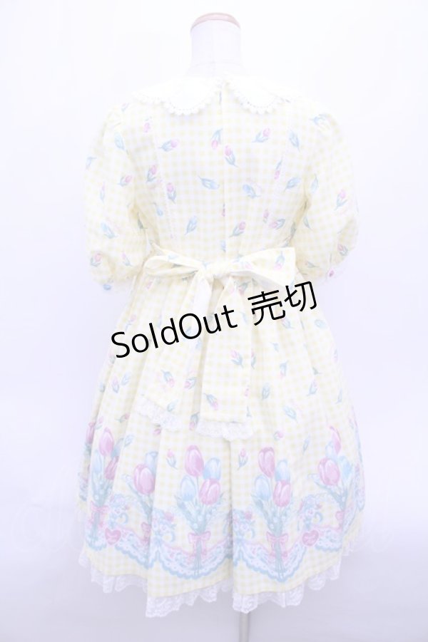 画像2: Angelic Pretty  / Tulip Bouquetワンピース Y-23-06-14-065y-1-OP-AP-L-SZ-ZY-R (2)