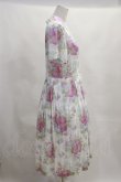 画像3: Jane Marple Dans Le Saｌon  / Strawberry season day dress H-23-06-29-2039h-1-OP-JM-L-KB-ZH (3)