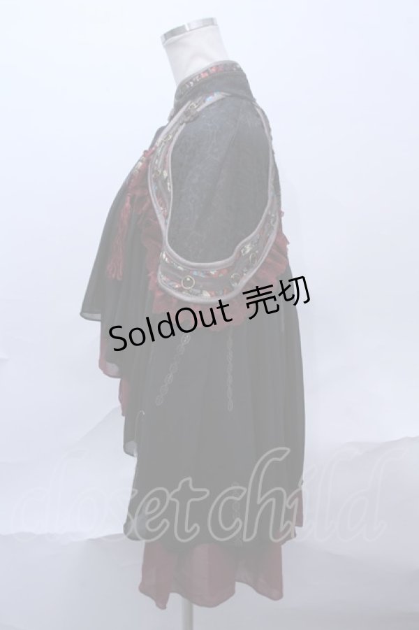 画像2: Ozz oneste  / シフォンケープ S-23-07-05-021s-1-JA-OO-G-AS-ZS (2)