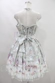 画像2: Angelic Pretty / 猫のお茶会ジャンパースカートSet H-23-07-14-033h-1-OP-AP-L-NS-ZH-R (2)