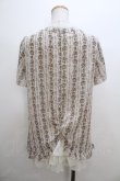 画像2: axes femme  / 総柄シフォンブラウス Y-23-07-25-032-1-BL-AX-L-SZ-ZT118 (2)