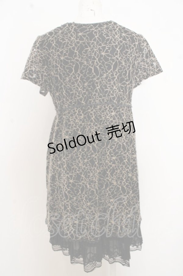 画像2: axes femme / レースレイヤードワンピース O-23-07-29-064-1-OP-AX-L-OW-ZT239 (2)