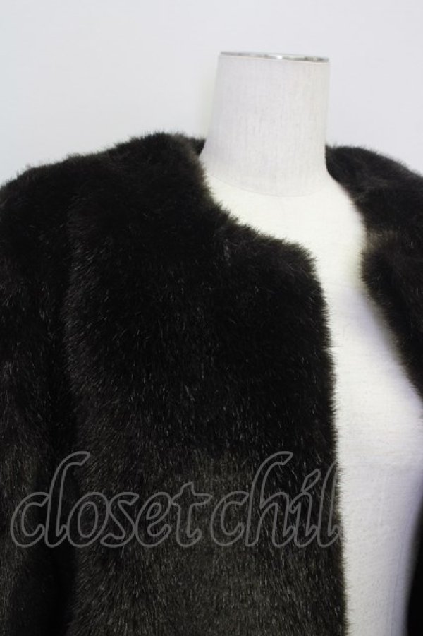 画像3: INGEBORG  / 総フェイクファーコート I-23-08-11-4020-1-JA-LO-L-HD-ZT-C025 (3)