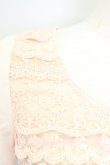 画像3: Ank Rouge  / レース&シフォン半袖カットソー I-23-09-03-4007-1-TO-LO-L-HD-ZT074 (3)