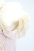 画像9: Ank Rouge  / レース&シフォン半袖カットソー I-23-09-03-4007-1-TO-LO-L-HD-ZT074 (9)