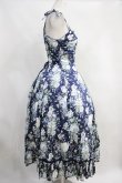 画像3: Victorian maiden  / ハーヴェストローズロングドレス H-23-09-21-1012h-1-OP-CL-L-NS-ZH-R (3)