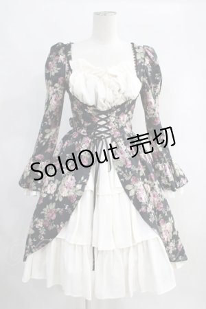 画像: Victorian maiden  / ロイヤルフリルドールドレス H-23-09-21-1016h-1-OP-CL-L-NS-ZH-R