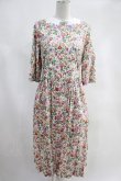 画像1: Jane Marple / Heirloom Flower embroideryカラードレス H-23-12-04-005-JM-OP-KB-ZH (1)