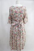画像2: Jane Marple / Heirloom Flower embroideryカラードレス H-23-12-04-005-JM-OP-KB-ZH (2)
