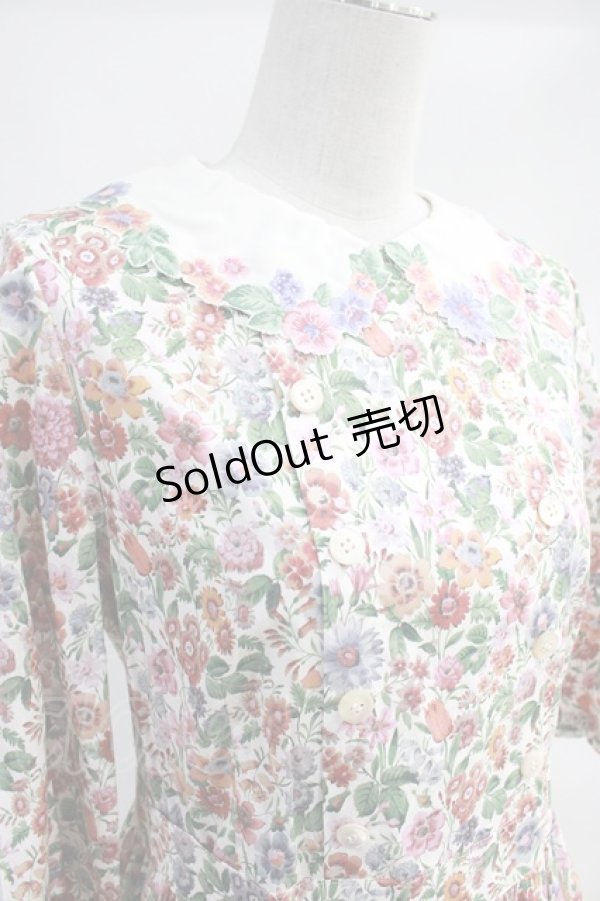 画像4: Jane Marple / Heirloom Flower embroideryカラードレス H-23-12-04-005-JM-OP-KB-ZH (4)