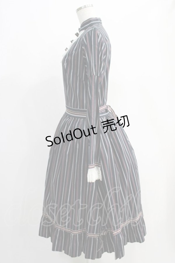 画像2: SERAPHIM / アフタヌーンティーワンピース Free ローズティー（紺） H-24-10-26-1019-LO-OP-NS-ZH (2)