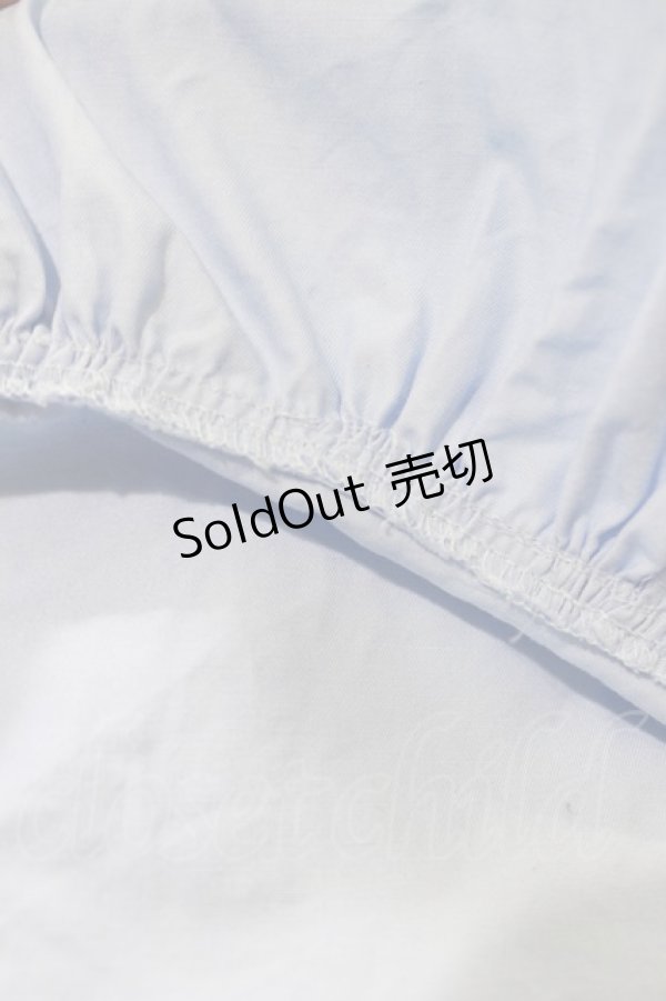 画像5: Angelic Pretty / クラシックローズワンピース Free サックス H-25-01-07-053-AP-OP-NS-ZH (5)