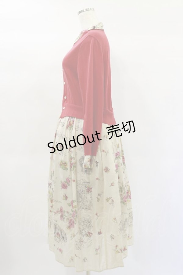 画像3: Jane Marple Dans Le Salon / Val de Loireリメイクドレス  light beige×red H-25-01-20-1070-JM-OP-KB-ZH (3)