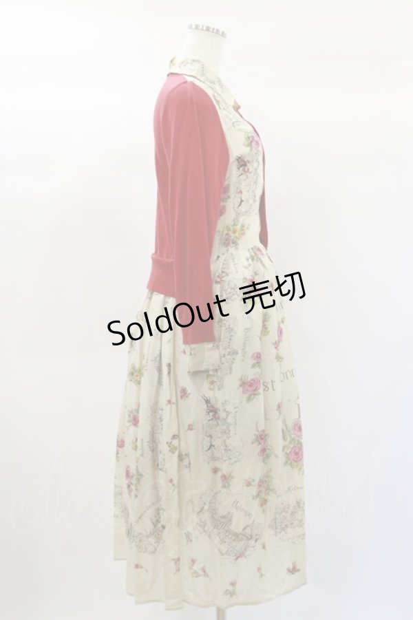 画像4: Jane Marple Dans Le Salon / Val de Loireリメイクドレス  light beige×red H-25-01-20-1070-JM-OP-KB-ZH (4)