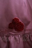 画像4: Amavel / Secret Rose Gardenワンピース Free ピンク H-25-02-10-006-CA-OP-NS-ZH (4)