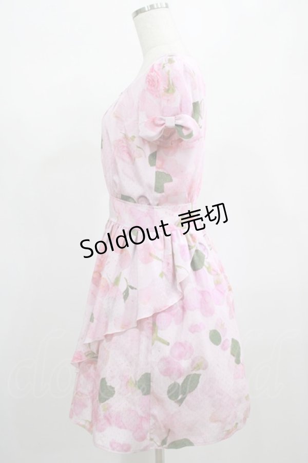 画像2: MILK / Jilted Roseドレス  アプリコット H-25-02-15-015-ML-OP-KB-ZT161 (2)