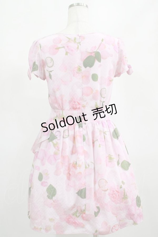 画像3: MILK / Jilted Roseドレス  アプリコット H-25-02-15-015-ML-OP-KB-ZT161 (3)