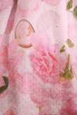 画像4: MILK / Jilted Roseドレス  アプリコット H-25-02-15-015-ML-OP-KB-ZT161 (4)
