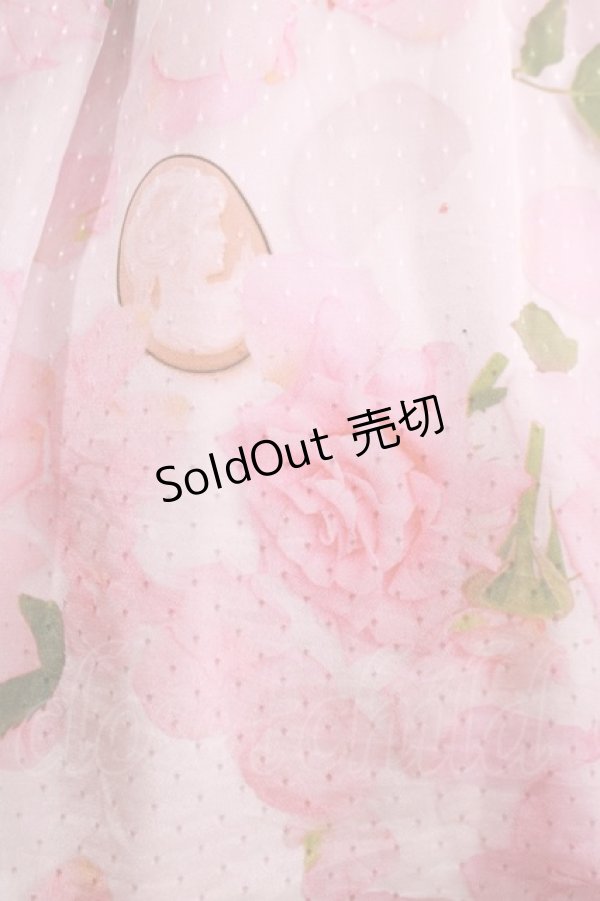 画像4: MILK / Jilted Roseドレス  アプリコット H-25-02-15-015-ML-OP-KB-ZT161 (4)