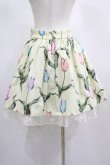 画像3: MILK / チューリーロマンススカート  クリームシャーベット H-25-02-15-017-ML-SK-KB-ZH (3)