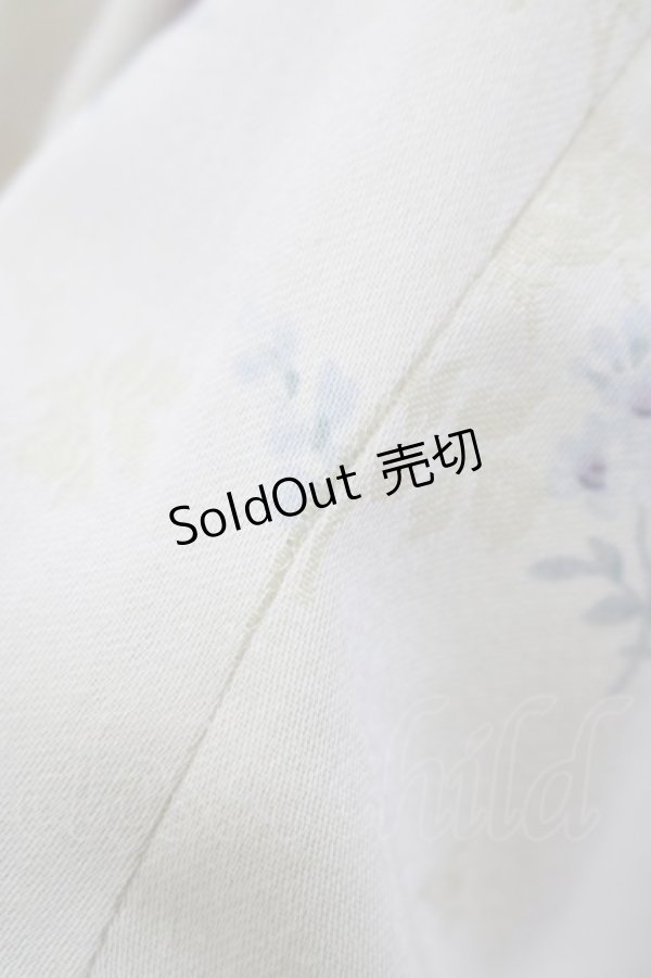 画像6: Mary Magdalene / ロズリーヌワンピース Free アイリス H-25-02-18-005-CL-OP-NS-ZH (6)