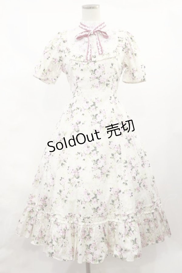 画像1: Victorian maiden / ロココブーケレースフリルドレス Free ペールピンク H-25-02-25-1011-CL-OP-NS-ZH (1)