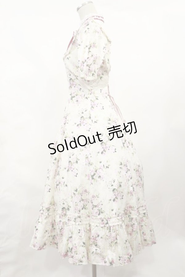 画像2: Victorian maiden / ロココブーケレースフリルドレス Free ペールピンク H-25-02-25-1011-CL-OP-NS-ZH (2)