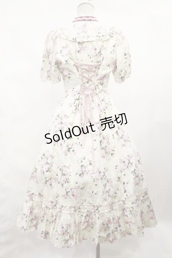 画像3: Victorian maiden / ロココブーケレースフリルドレス Free ペールピンク H-25-02-25-1011-CL-OP-NS-ZH (3)