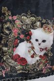 画像4: Enchantlic Enchantilly / 猫の王女さまの音楽会〜ヴァイオリン〜 スカート Free ブラック H-25-02-28-021-LO-SK-NS-ZH (4)