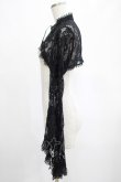 画像2: DARK IN LOVE / Gothic sexy big sleeves lace cape M 黒 H-25-03-02-057-PU-TO-KB-ZH (2)