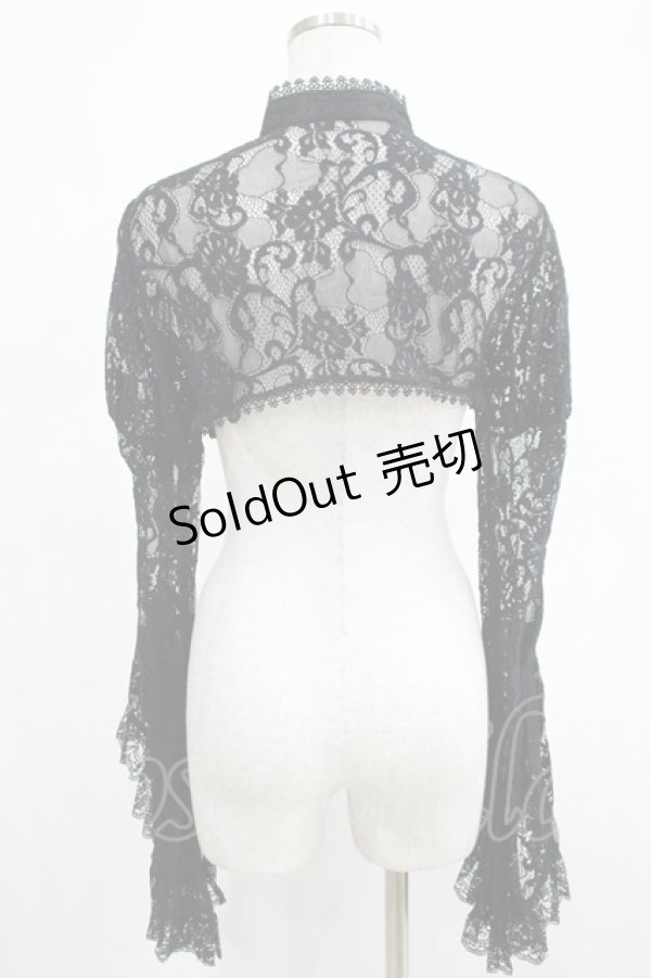 画像3: DARK IN LOVE / Gothic sexy big sleeves lace cape M 黒 H-25-03-02-057-PU-TO-KB-ZH (3)
