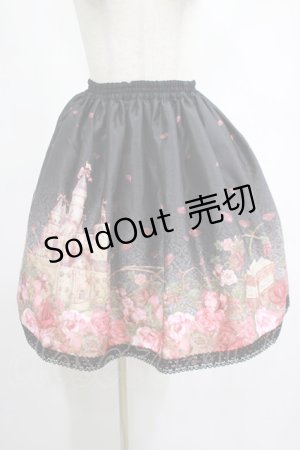 画像: Enchantlic Enchantilly / いばら姫のスカート Free ブラック H-25-03-03-022-LO-SK-NS-ZH