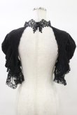 画像2: DARK IN LOVE / Gothic elegant short sleeves cape XXL 黒 H-25-03-05-1045-PU-TO-KB-ZH (2)