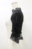 画像3: DARK IN LOVE / Gothic elegant short sleeves cape XXL 黒 H-25-03-05-1045-PU-TO-KB-ZH (3)