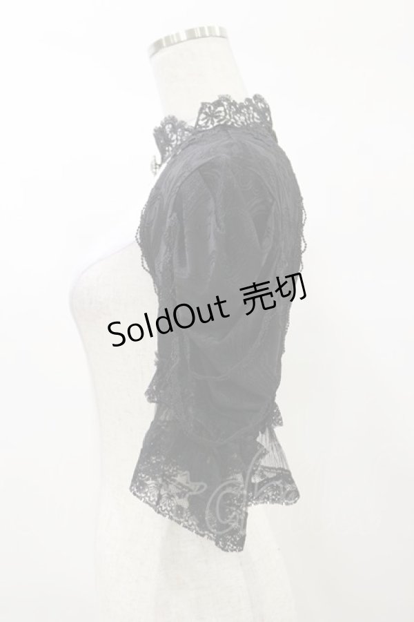 画像3: DARK IN LOVE / Gothic elegant short sleeves cape XXL 黒 H-25-03-05-1045-PU-TO-KB-ZH (3)