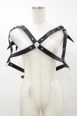 画像1: KILL STAR / Totally Bats Harness 3XL-4XL 黒 H-25-03-05-1050-SL-ZA-KB-ZI (1)