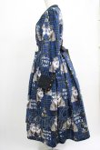 画像2: Royal Princess Alice / PUNK CATワンピース Lサイズ 青チェック H-25-03-11-003-LO-OP-NS-ZH (2)