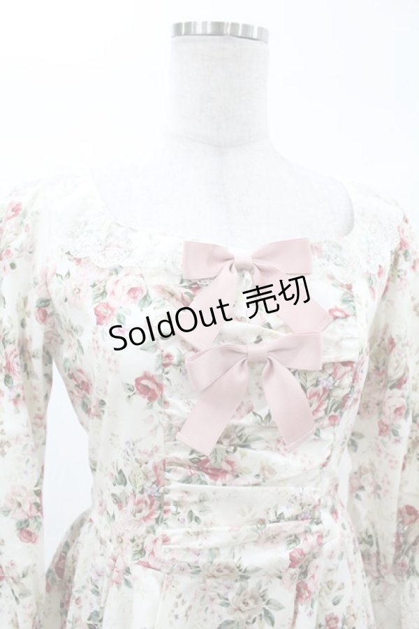 画像4: Victorian maiden / ロココブーケロイヤルオーバードレス Free ロココピンク H-25-03-11-1016-CL-OP-NS-ZH (4)