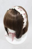 画像6: Victorian maiden / ロココブーケロイヤルオーバードレス Free ロココピンク H-25-03-11-1016-CL-OP-NS-ZH (6)