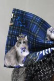 画像2: Royal Princess Alice / PUNK CATカチューシャ  青チェック H-25-03-11-072-LO-AC-NS-ZH (2)