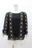 画像1: an another angelus / 壁紙ローズ刺繍プルオーバーブラウス Free Black H-25-03-14-1055-CA-BL-NS-ZH (1)