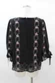 画像2: an another angelus / 壁紙ローズ刺繍プルオーバーブラウス Free Black H-25-03-14-1055-CA-BL-NS-ZH (2)
