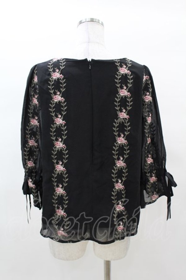 画像2: an another angelus / 壁紙ローズ刺繍プルオーバーブラウス Free Black H-25-03-14-1055-CA-BL-NS-ZH (2)