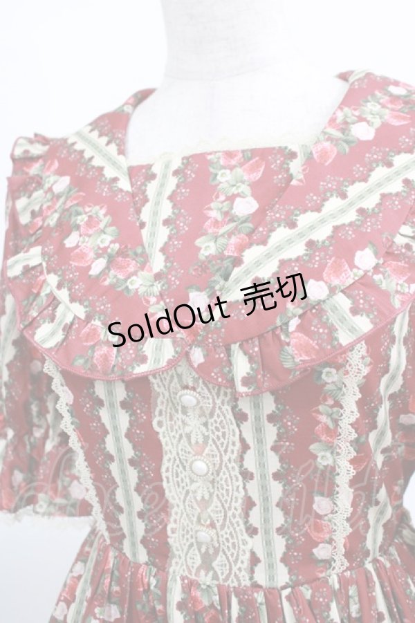 画像5: axes femme kawaii / ローズベリーガーデンワンピ M レッド H-25-03-14-005-AX-OP-NS-ZH (5)
