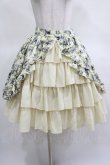 画像2: ATELIER PIERROT / フロントバッスル・ガーデンスカート  オフ H-25-03-15-009-EL-SK-KB-ZH (2)