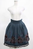 画像1: BPN / サーカス刺繍スカート  青 H-25-03-15-022-GO-SK-KB-ZH (1)