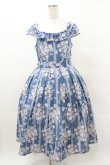 画像1: Forest Wardrobe（海外ロリータブランド） / 森林のかご3.0 花柄ワンピースセット XL ばら柄（ブルー） H-25-03-16-032-0-OP-NS-ZH (1)