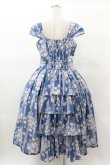 画像2: Forest Wardrobe（海外ロリータブランド） / 森林のかご3.0 花柄ワンピースセット XL ばら柄（ブルー） H-25-03-16-032-0-OP-NS-ZH (2)