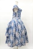 画像3: Forest Wardrobe（海外ロリータブランド） / 森林のかご3.0 花柄ワンピースセット XL ばら柄（ブルー） H-25-03-16-032-0-OP-NS-ZH (3)